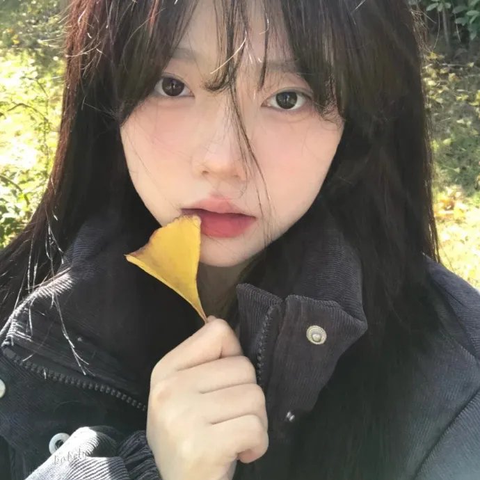 夺命追踪者