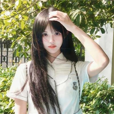山中森林