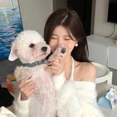 朵儿的战争